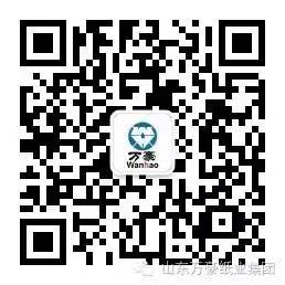 九州手机版app